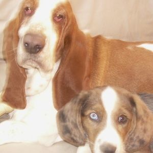 Meet your Posher, Lydia